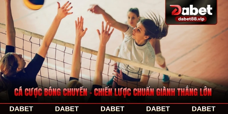 Cá Cược Bóng Chuyền - Chiến Lược Chuẩn Giành Thắng Lớn