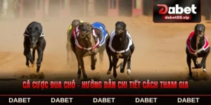 Cá Cược Đua Chó - Hướng Dẫn Chi Tiết Cách Tham Gia