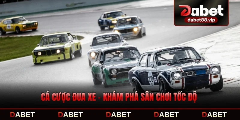 Cá Cược Đua Xe - Khám Phá Sân Chơi Tốc Độ Nổi Bật