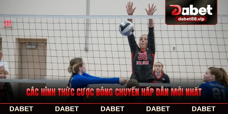 Các hình thức cược bóng chuyền hấp dẫn mới nhất