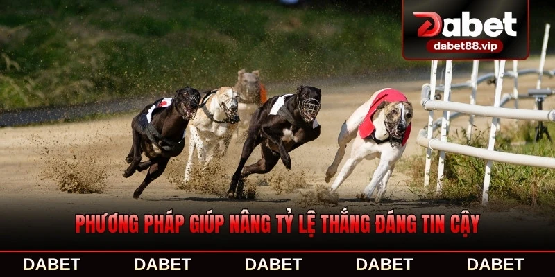 Phương pháp giúp nâng tỷ lệ thắng đáng tin cậy
